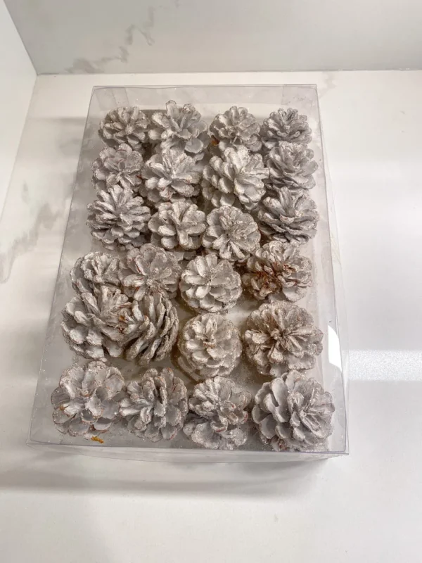 Inspire Me! Home Decor White Decorative Pinecones Box