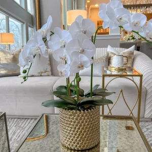 Inspire Me! Home Decor White Orchid In Gold Detailed Pot